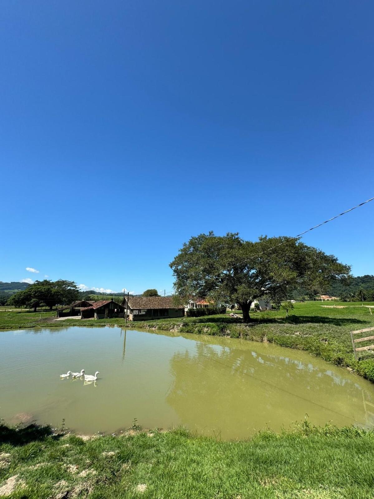 Casa Container - Pousada Container Da Montanha Verde Banheira Rio Fortuna Bagian luar foto